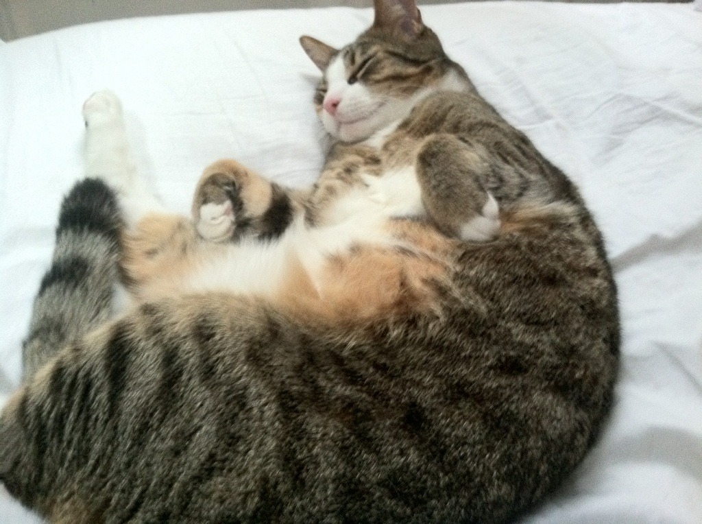 爱游戏中国官方登录入口网站-NBA与迪士尼、亚马逊、NBC谈判新转播协议，金额达760亿美元