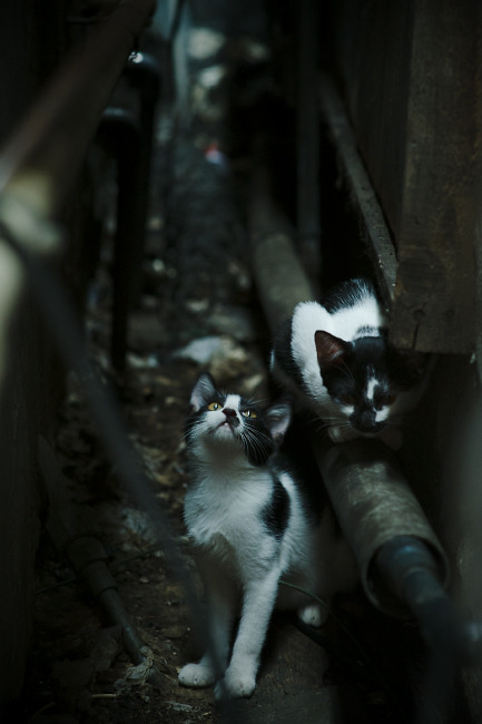 爱游戏体育app-传统名族体育跳长绳比赛，传承文化的欢乐盛典，跳长绳游戏规则